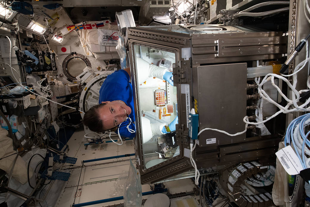 NASA astronaut Megan McArthur works on the Celestial Immunity study