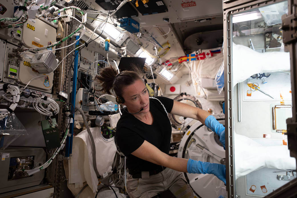 NASA astronaut Megan McArthur works on the Celestial Immunity study