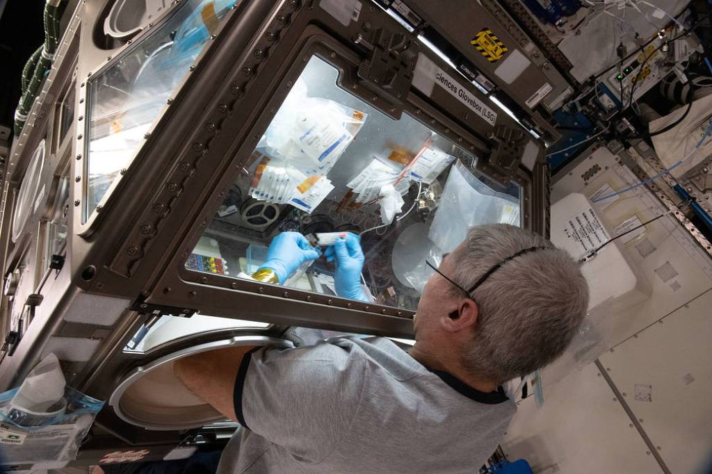 Astronaut Mark Vande Hei works on the Celestial immunity study