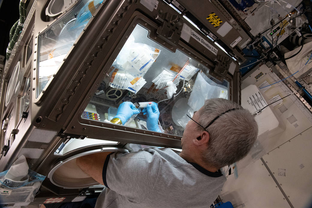 Astronaut Mark Vande Hei works on the Celestial immunity study