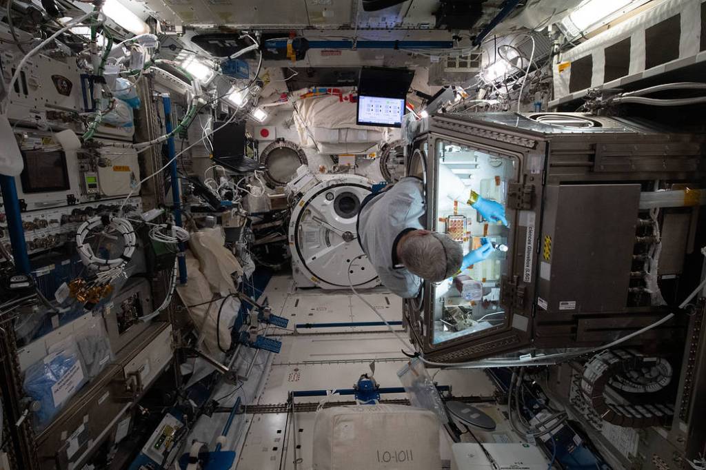 Astronaut Mark Vande Hei works on the Celestial immunity study