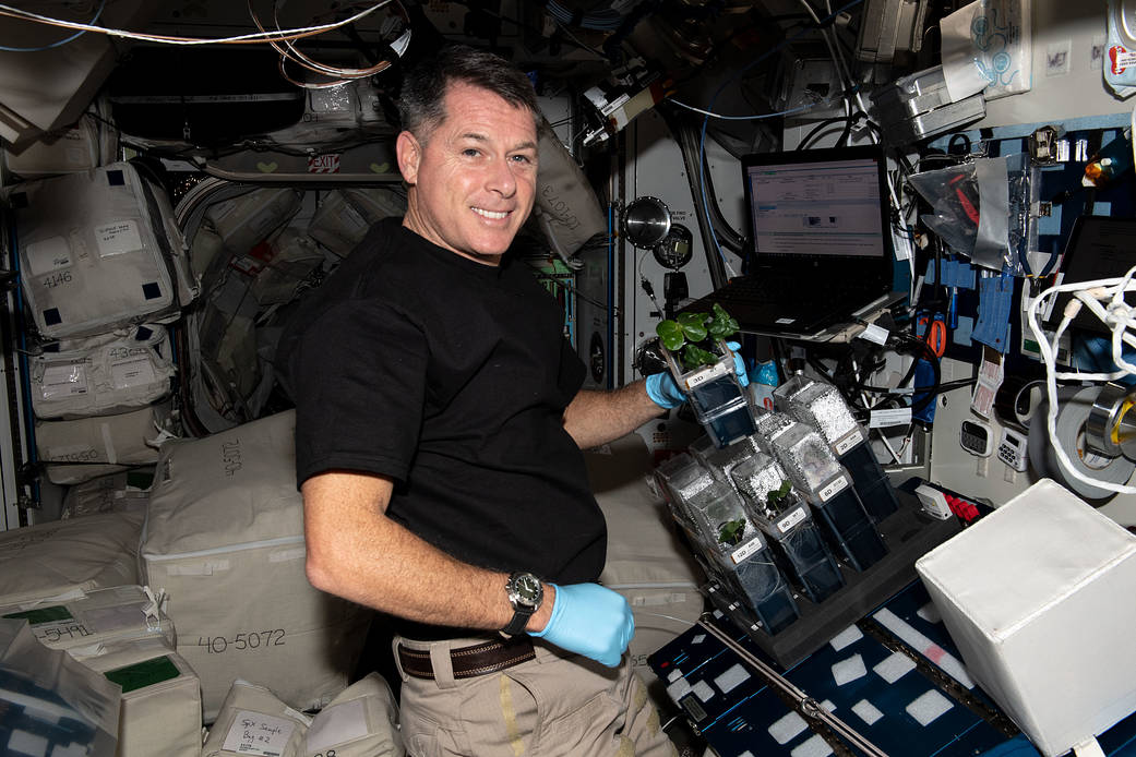 NASA astronaut Shane Kimbrough checks on cotton plants