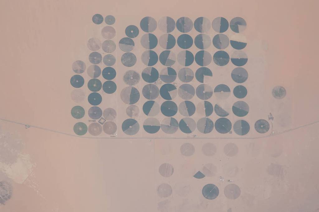 An agricultural development in Saudi Arabia