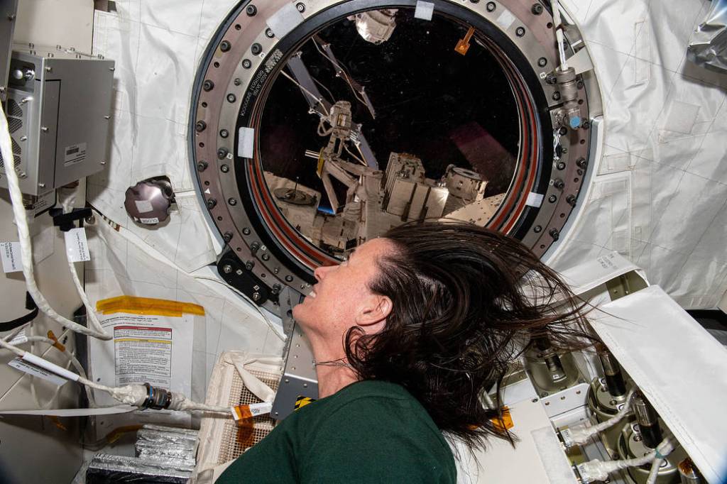 Astronaut Megan McArthur looks out the Kibo lab module window