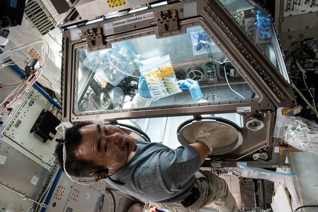 Commander Akihiko Hoshide studies microbes called tardigrades