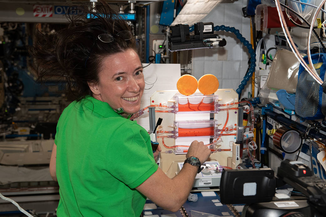 NASA astronaut Megan McArthur works on a space botany study