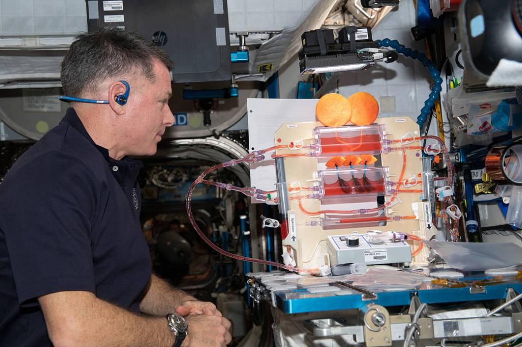 NASA astronaut Shane Kimbrough works on a space botany study
