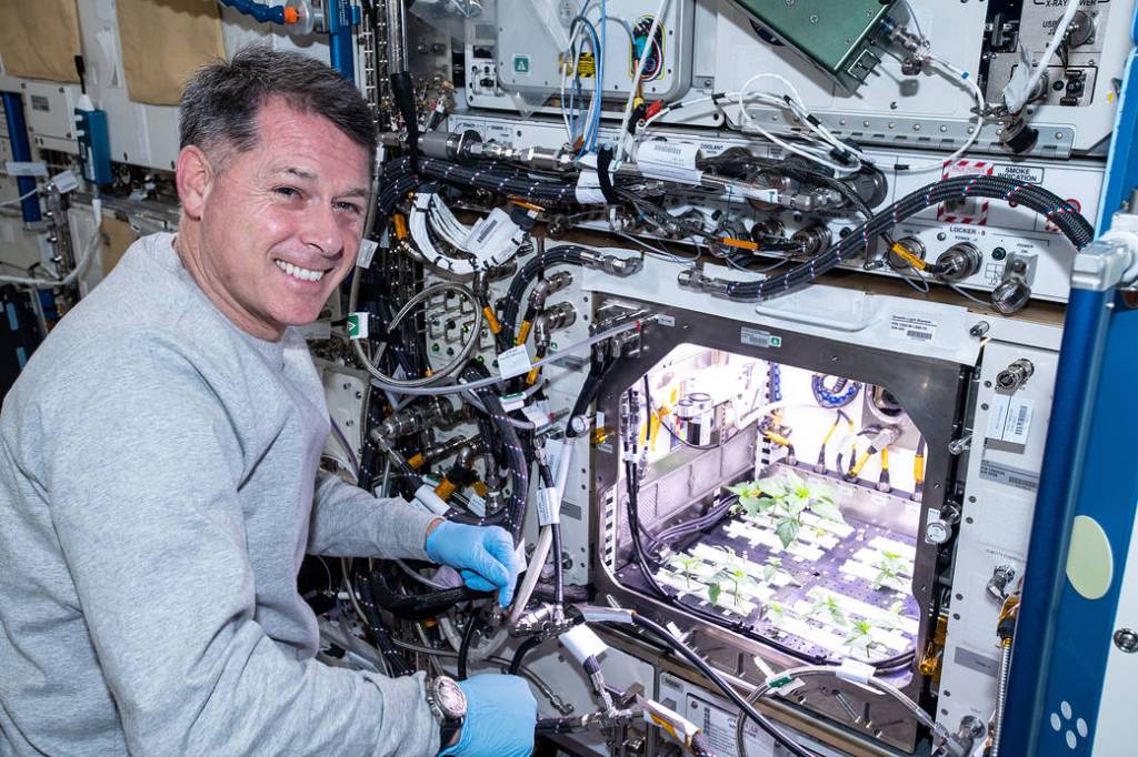 Astronaut Shane Kimbrough checks Hatch chile plants