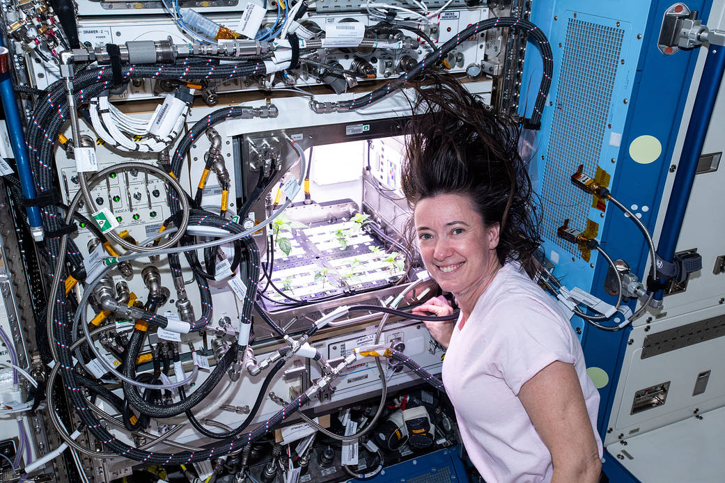 Astronaut Megan McArthur checks Hatch chile plants