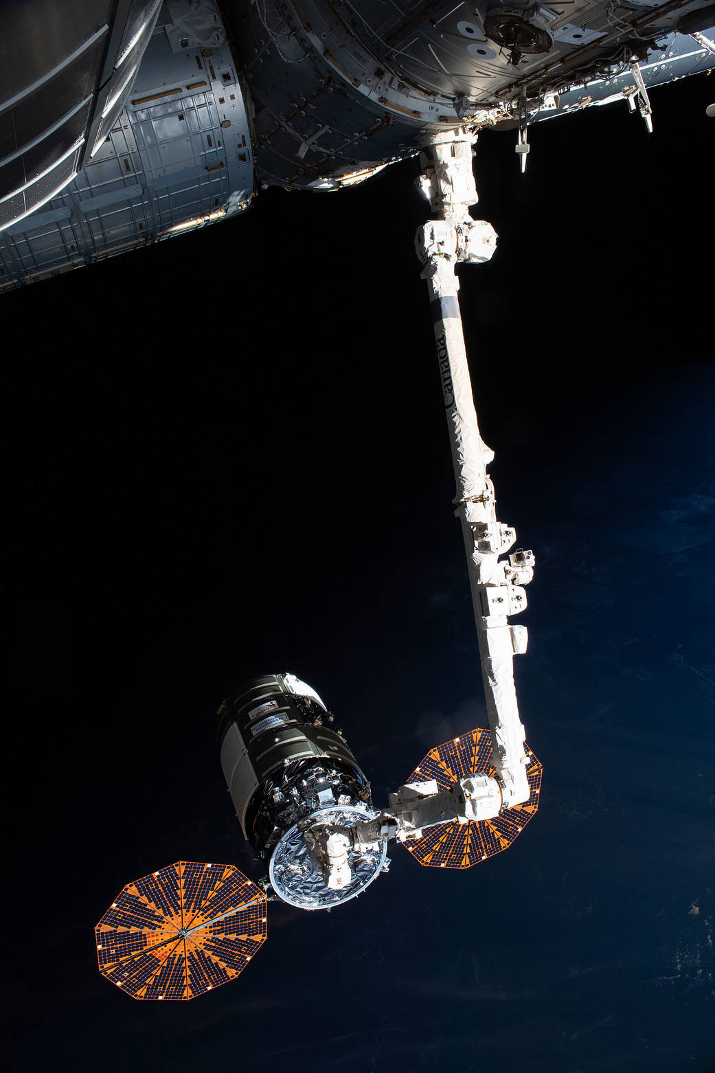 Cygnus is pictured shortly after it was captured