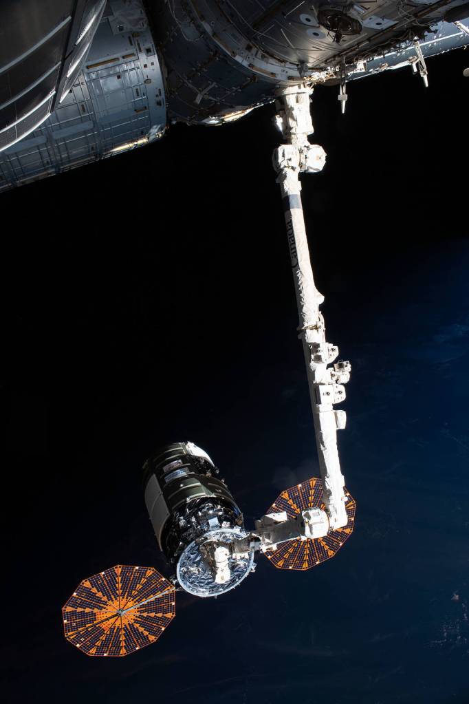 Cygnus is pictured shortly after it was captured