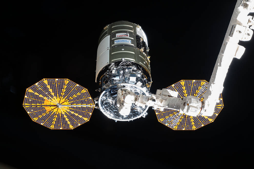 Cygnus is pictured shortly after it was captured
