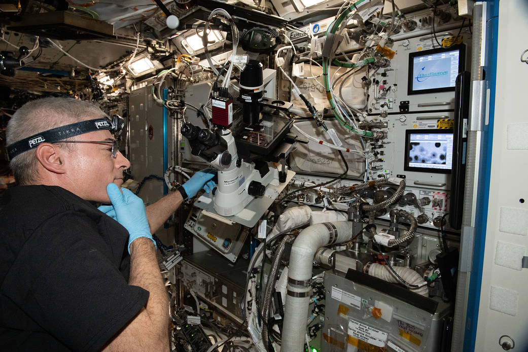 Astronaut Mark Vande Hei works on the Cardinal Muscle investigation