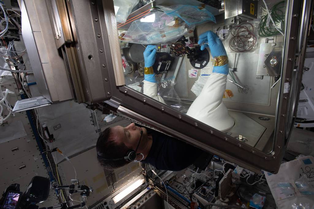 Astronaut Thomas Pesquet works on the Cardinal Muscle investigation