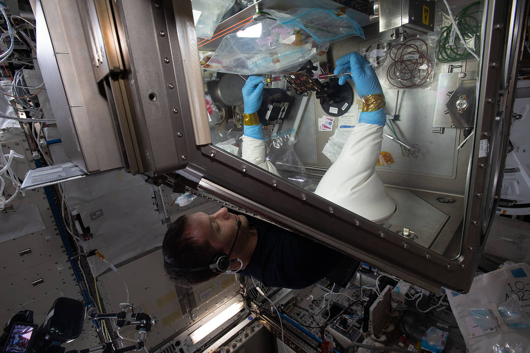 Astronaut Thomas Pesquet works on the Cardinal Muscle investigation