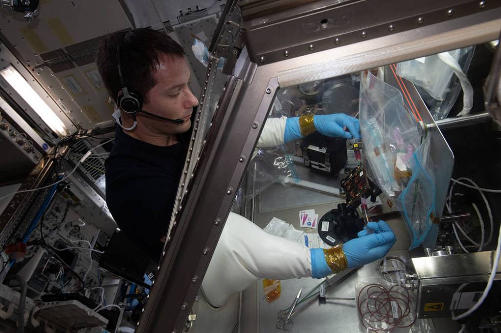 Astronaut Thomas Pesquet works on the Cardinal Muscle investigation