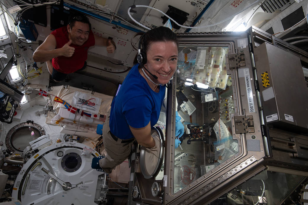 NASA astronaut Megan McArthur works on the Cardinal Muscle investigation in the Life Sciences Glovebox aboard the International Space Station. This study tests whether such engineered tissues cultured in space could provide a model for studying muscle loss and assessing possible therapeutics prior to clinical trials.