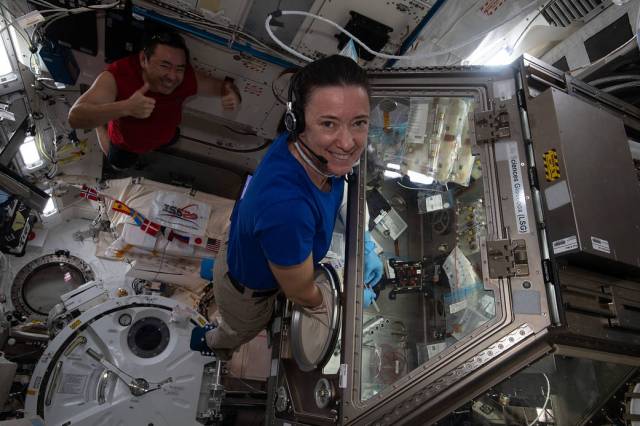 Astronaut Megan McArthur works on the Cardinal Muscle investigation