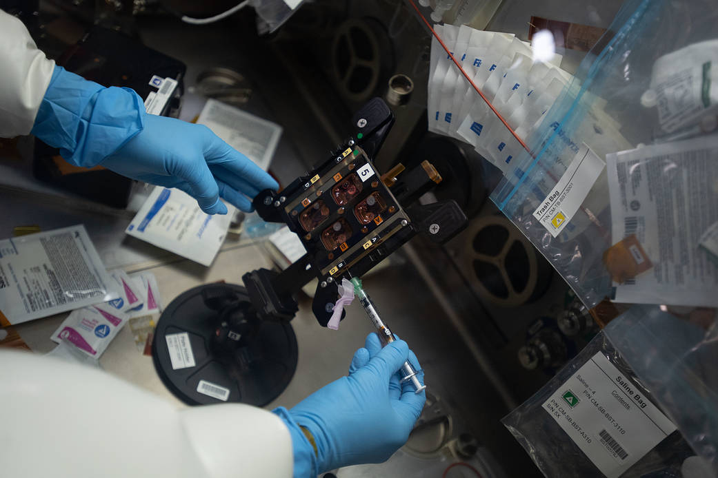 Astronaut Megan McArthur works on the Cardinal Muscle investigation