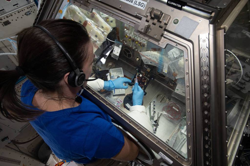 Astronaut Megan McArthur works on the Cardinal Muscle investigation