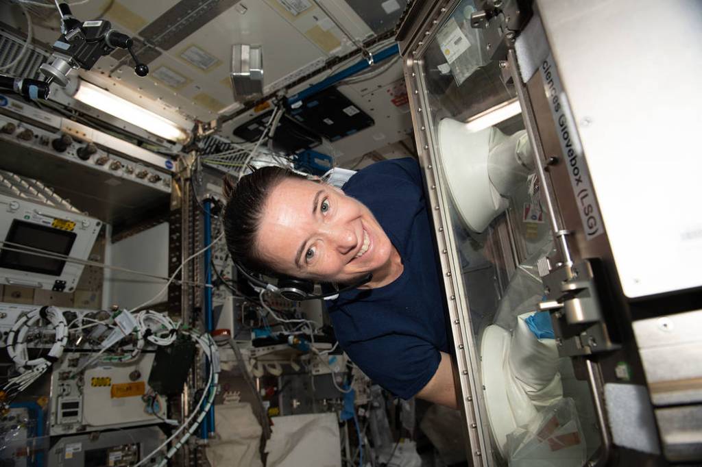 Astronaut Megan McArthur works on the Cardinal Muscle investigation