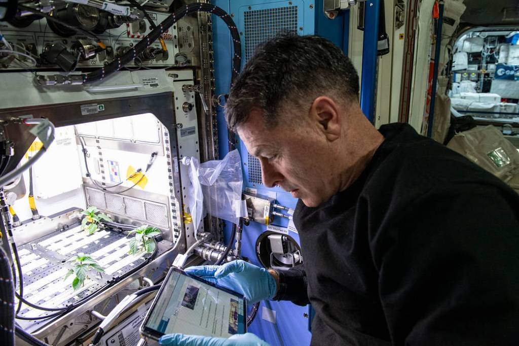 Astronaut Shane Kimbrough cleans up debris around the Plant Habitat Facility