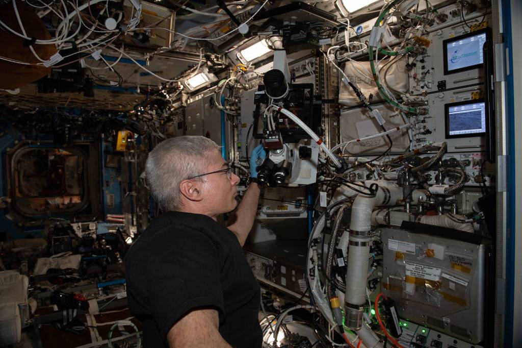 Astronaut Mark Vande Hei works on the Cardinal Muscle investigation