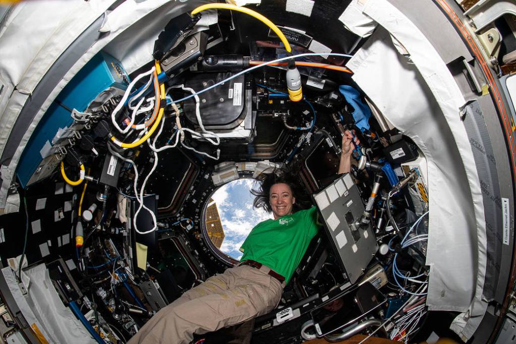 Astronaut Megan McArthur inside the cupola