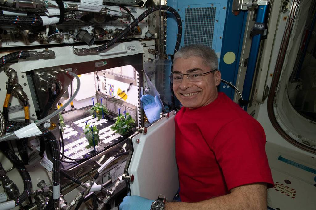 Astronaut Mark Vande Hei cleans up debris in the Plant Habitat