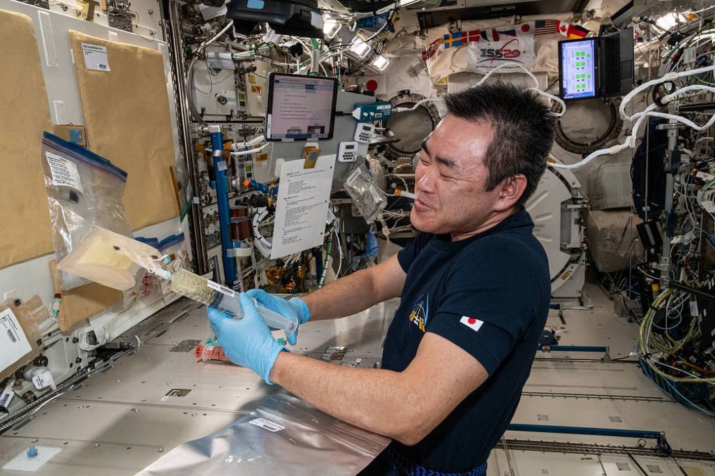 Astronaut Akihiko Hoshide thaws mouse embryo samples