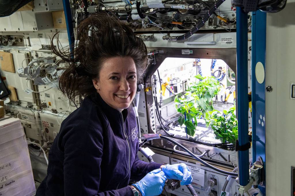 NASA astronaut Megan McArthur cleans up plant debris