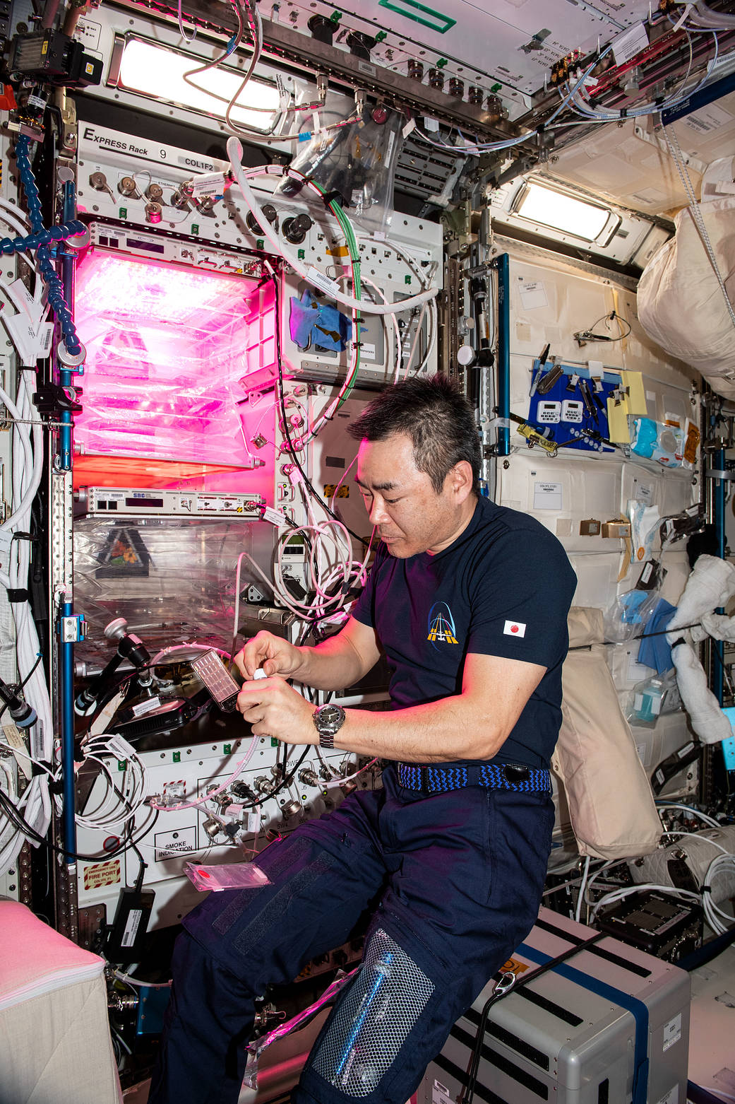 Astronaut Akihiko Hoshide collects microbe samples