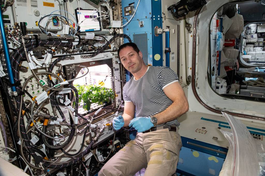 Astronaut Thomas Pesquet cleans up plant debris
