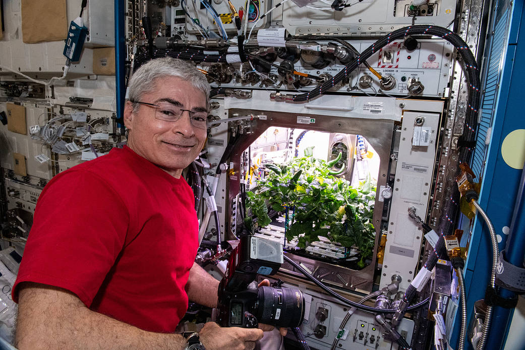 NASA astronaut Mark Vande Hei prepares to photograph chile peppers
