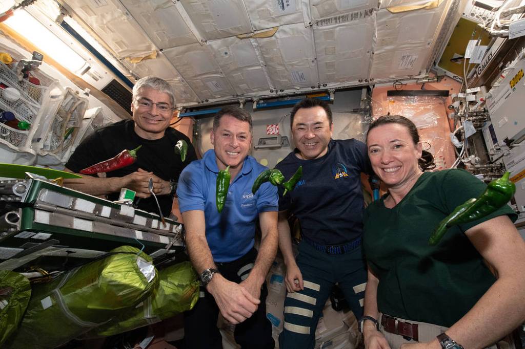 Expedition 65 flight engineers pose with chile peppers