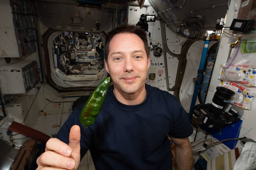 ESA astronaut Thomas Pesquet is seen with a green chile pepper
