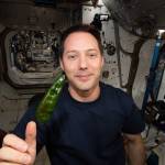 ESA astronaut Thomas Pesquet is seen with a green chile pepper