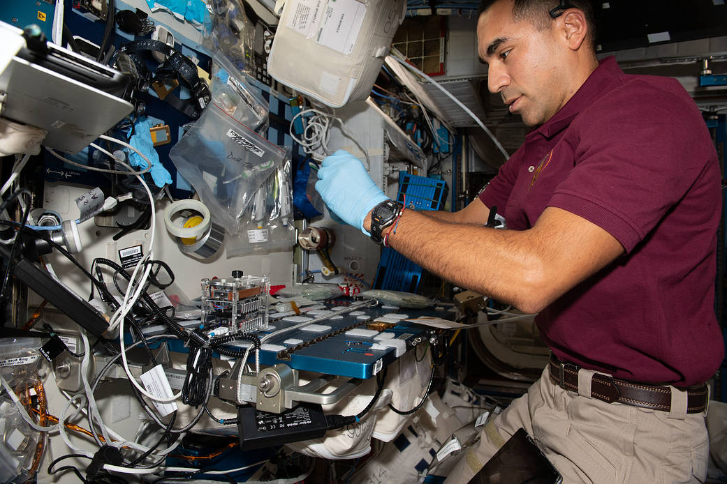 Astronaut Raja Chari sequences DNA from bacteria samples