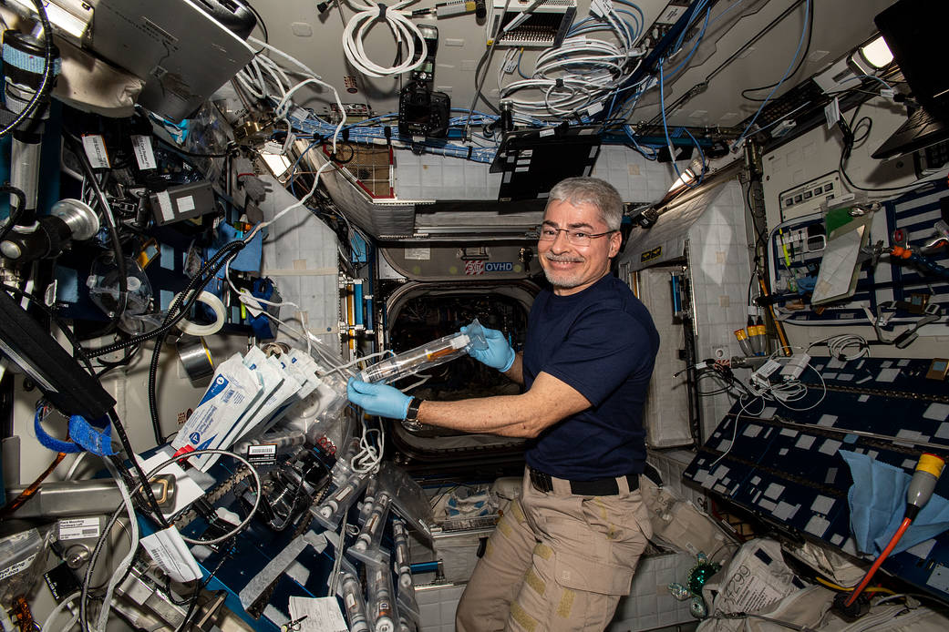 Astronaut Mark Vande Hei conducts space botany operations