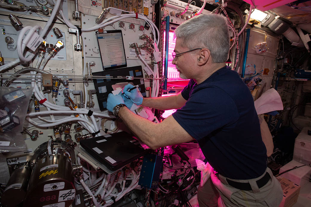 Astronaut Mark Vande Hei harvests plants grown on petri plates