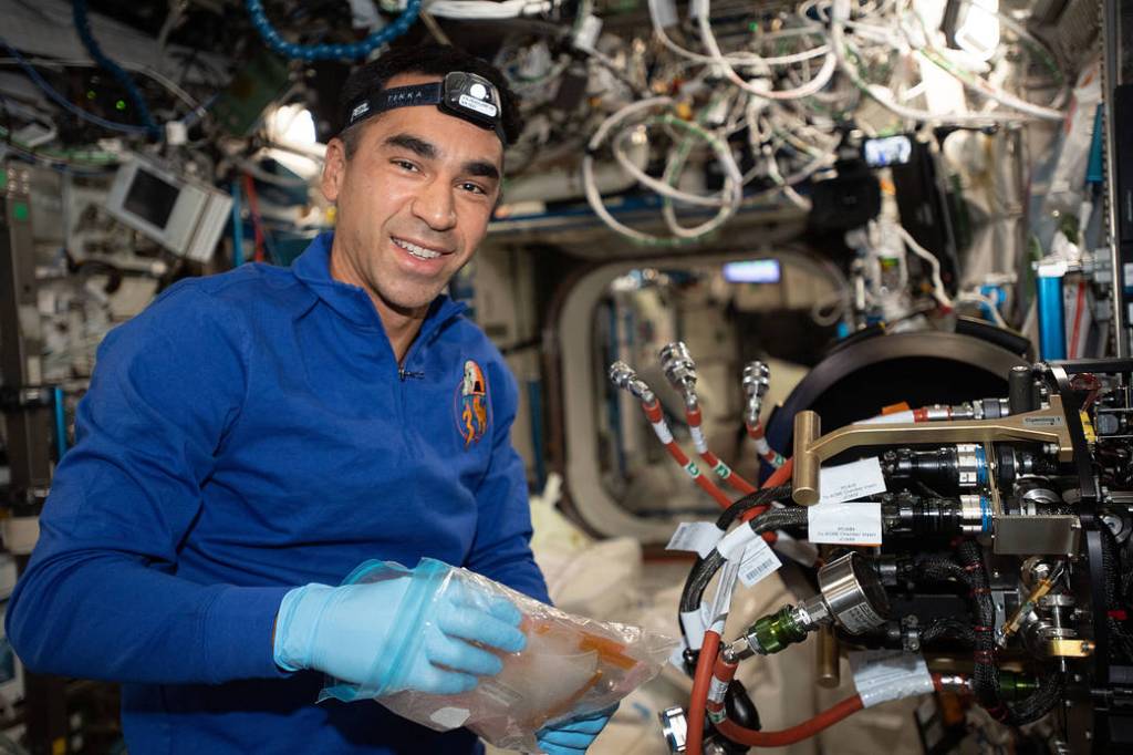 NASA astronaut Raja Chari replaces combustion research hardware