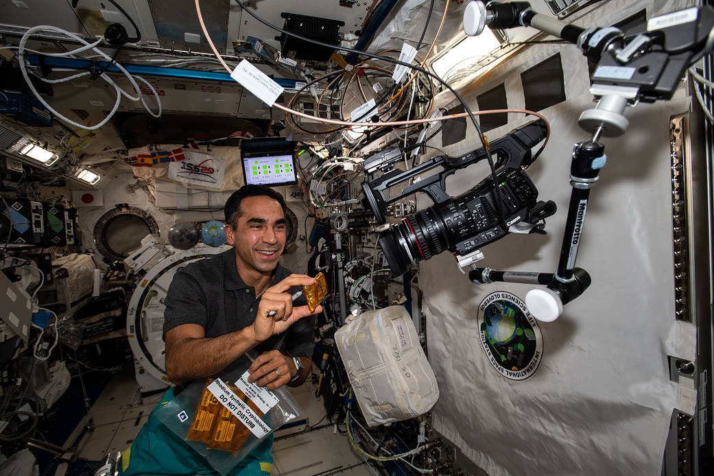Astronaut Engineer Raja Chari works on a biotechnology study