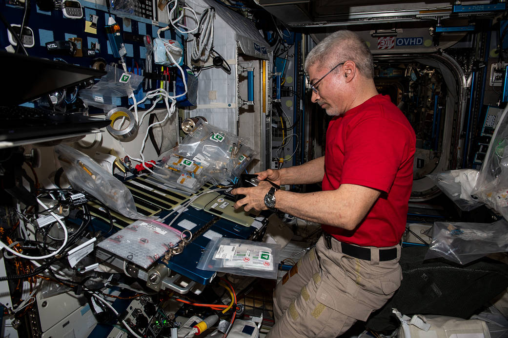 Astronaut Mark Vande Hei sets up components for a space botany study