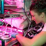 Astronaut Kayla Barron checks out plants growing inside the Veggie facility