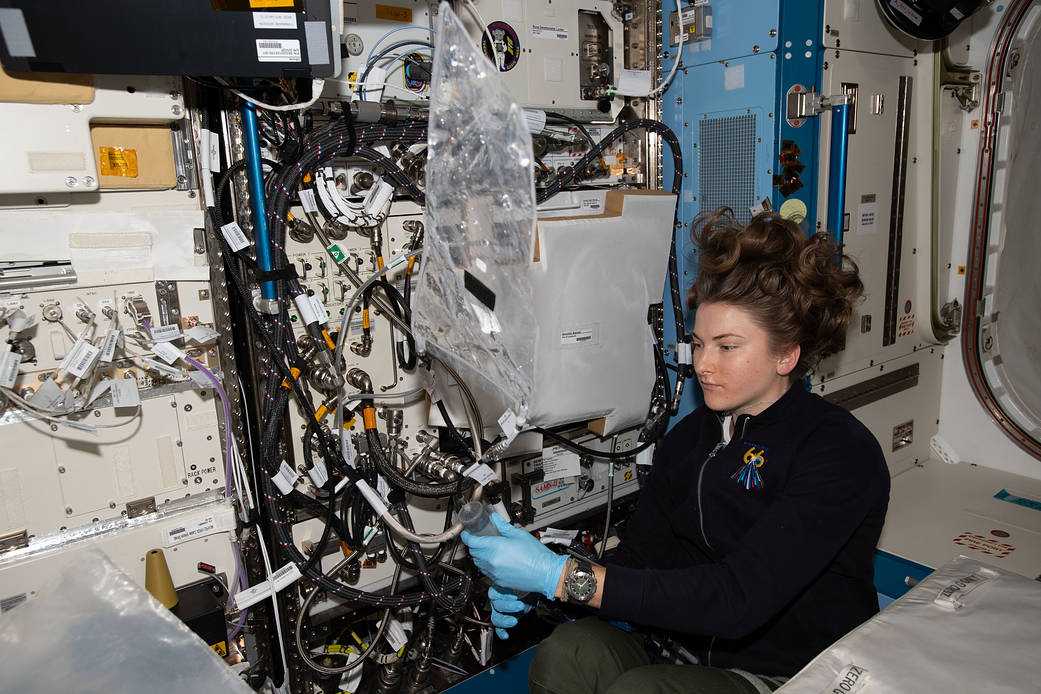 Astronaut Kayla Barron refills water and cleans the Plant Habitat Facility