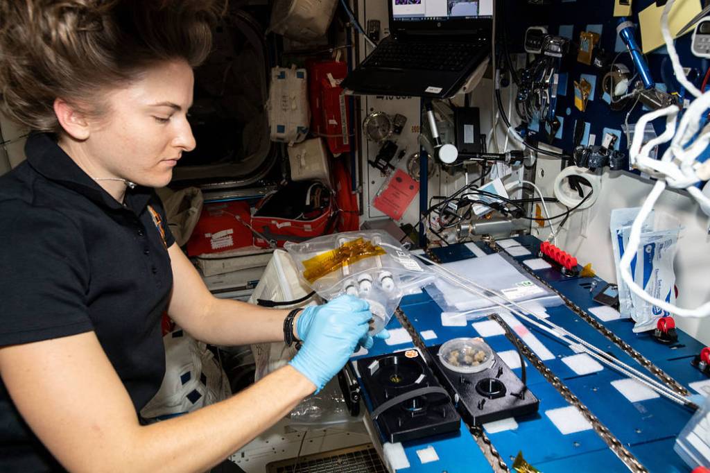 Astronaut Kayla Barron harvests cotton cell samples