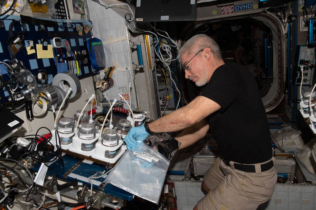Astronaut Mark Vande Hei harvests plants