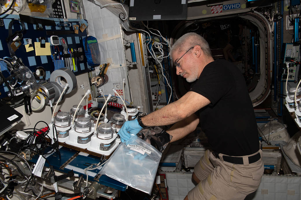Astronaut Mark Vande Hei harvests plants