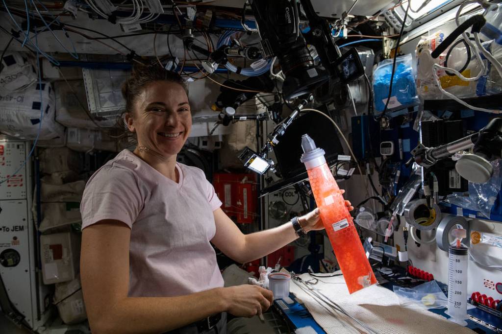 NASA astronaut Kayla Barron works on an orbital plumbing demonstration