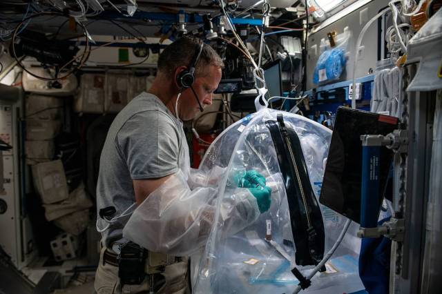 Astronaut Bob Hines processes samples for the Food Physiology study